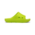 Damian Slides